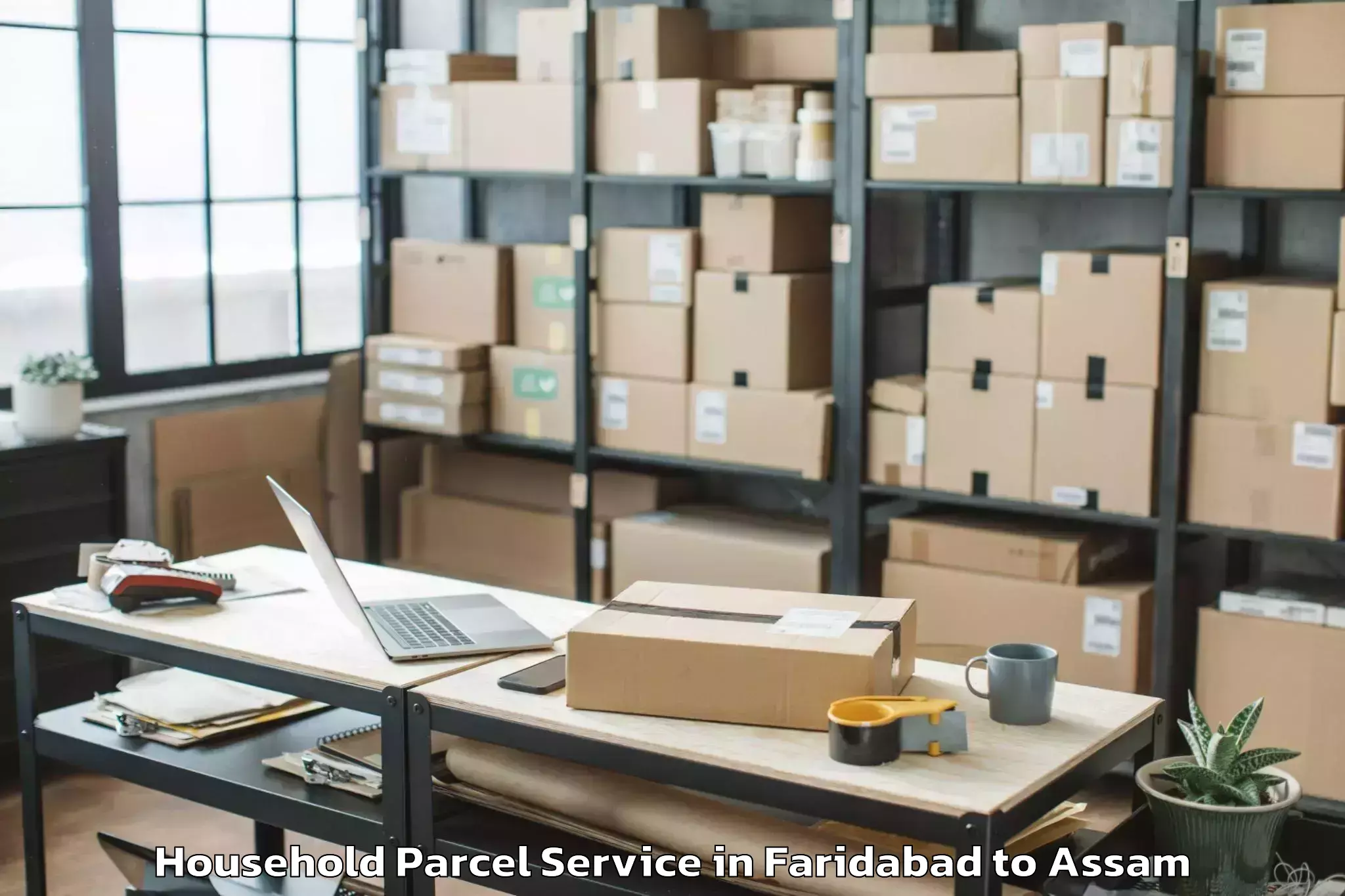 Easy Faridabad to Mayong Household Parcel Booking